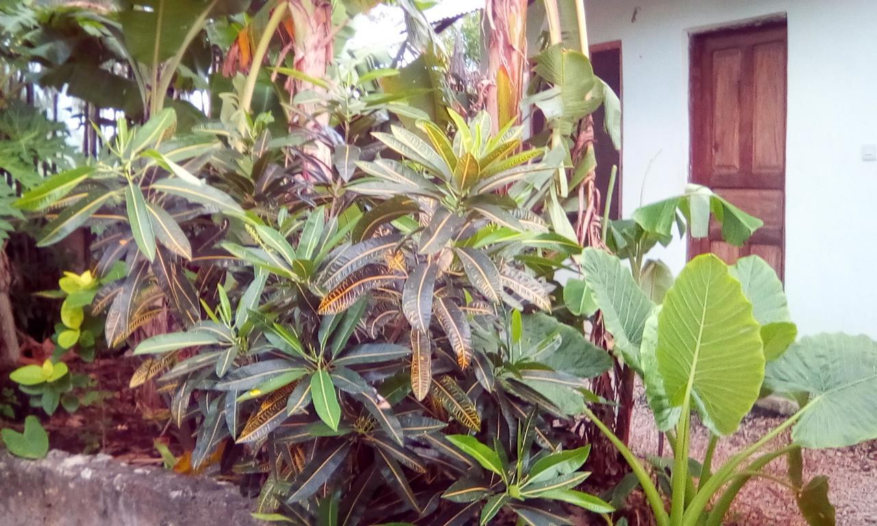 Jambiani Home Stay Kültér fotó